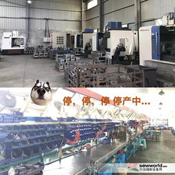 環保風暴下小工廠的生存困境 價格優勢不再，轉型之路何在？